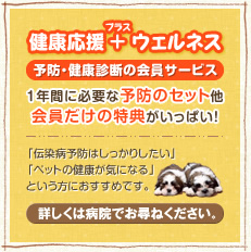 健康応援+ウェルネス　予防・健康診断の会員サービス