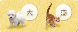 イヌ・ネコ