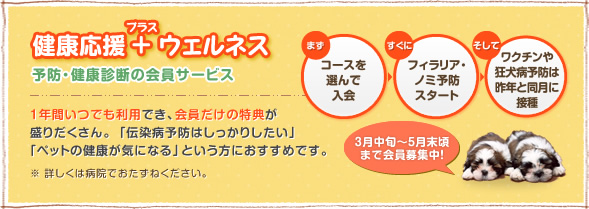 健康応援+ウェルネス　予防・健康診断の会員サービス