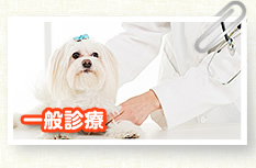 一般診療