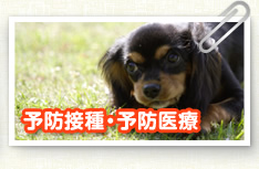 予防接種・予防医療